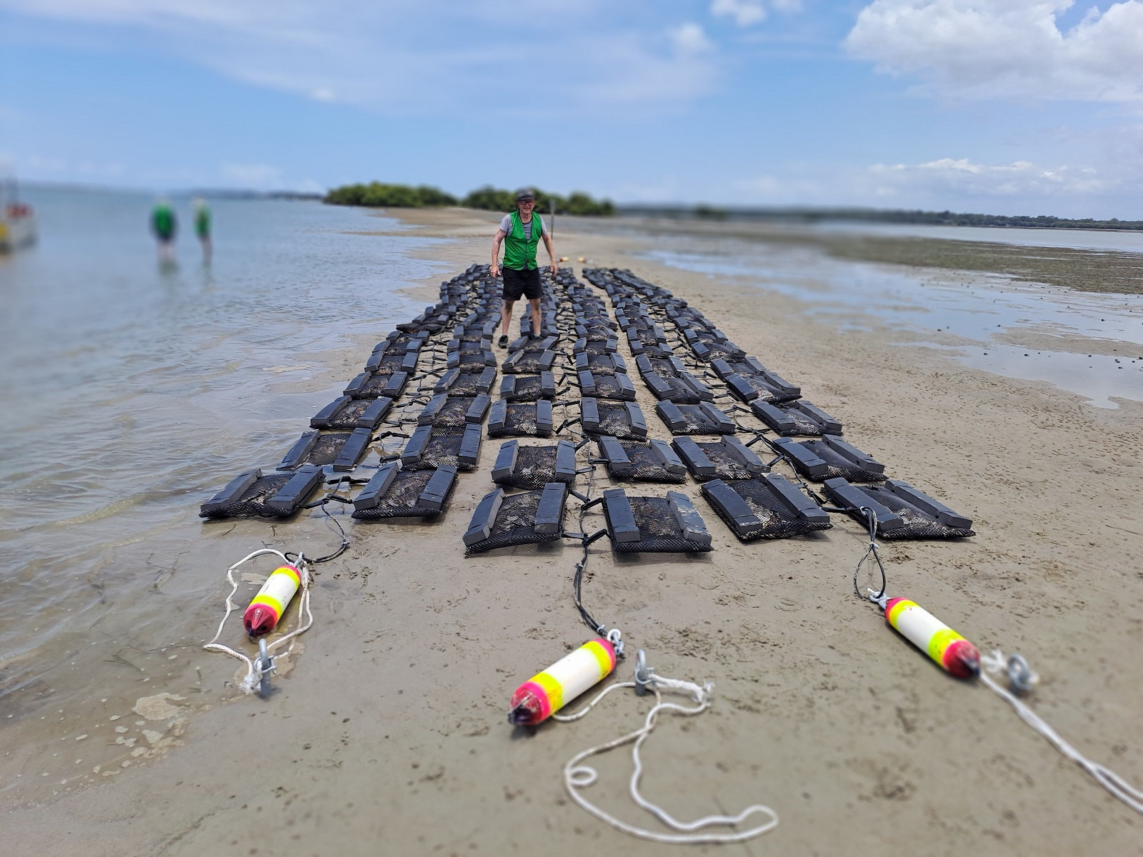 Oyster Reef Restoration